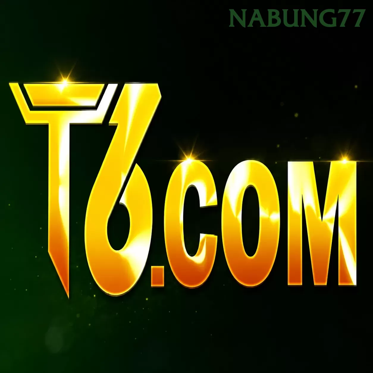 T6